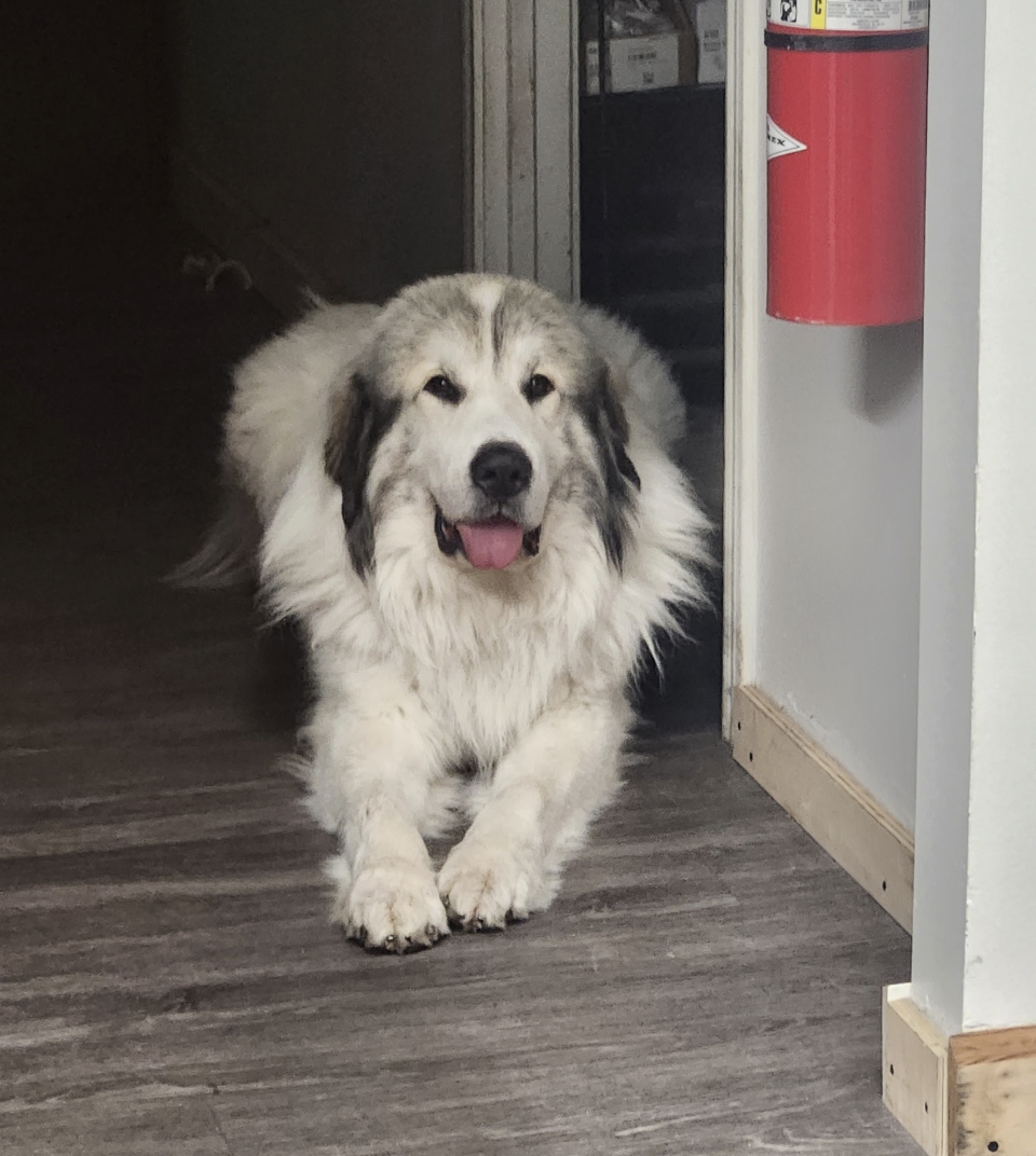 Bubba